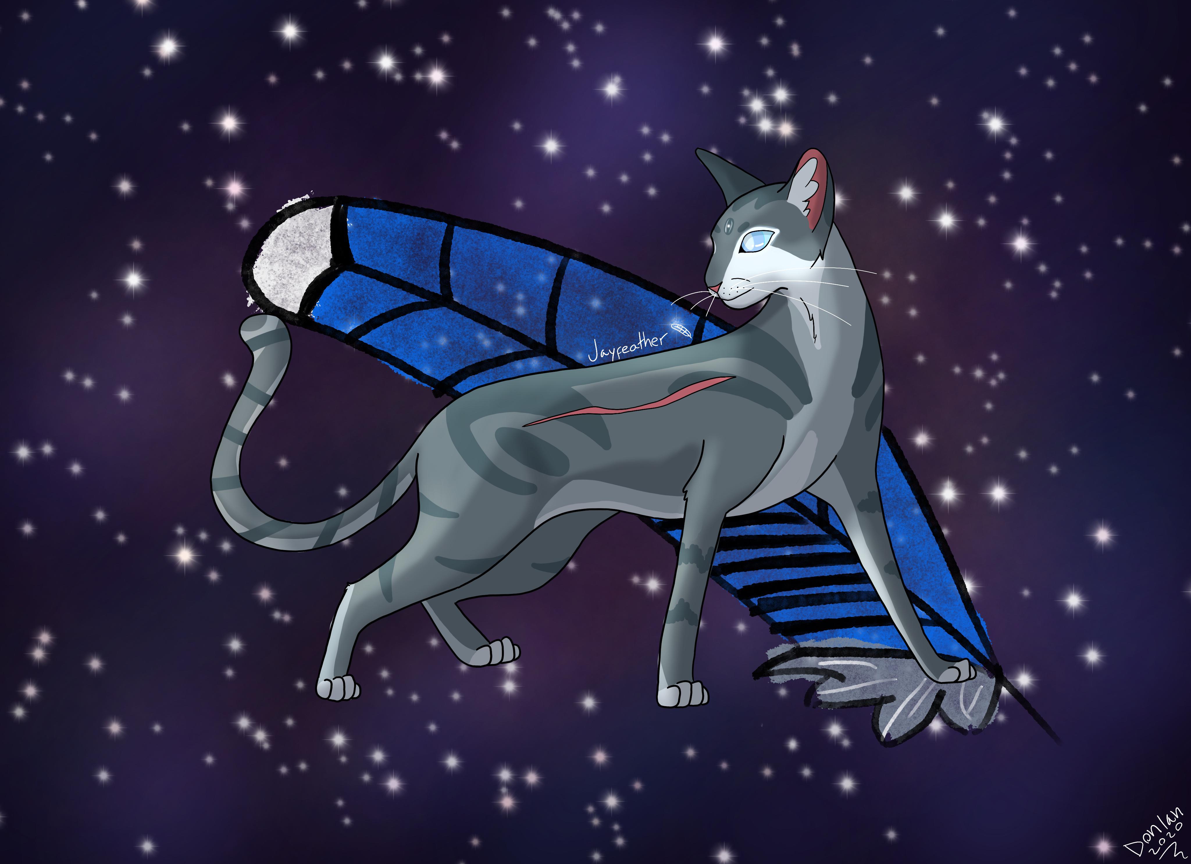 Warrior Cats Jayfeather Wallpapers