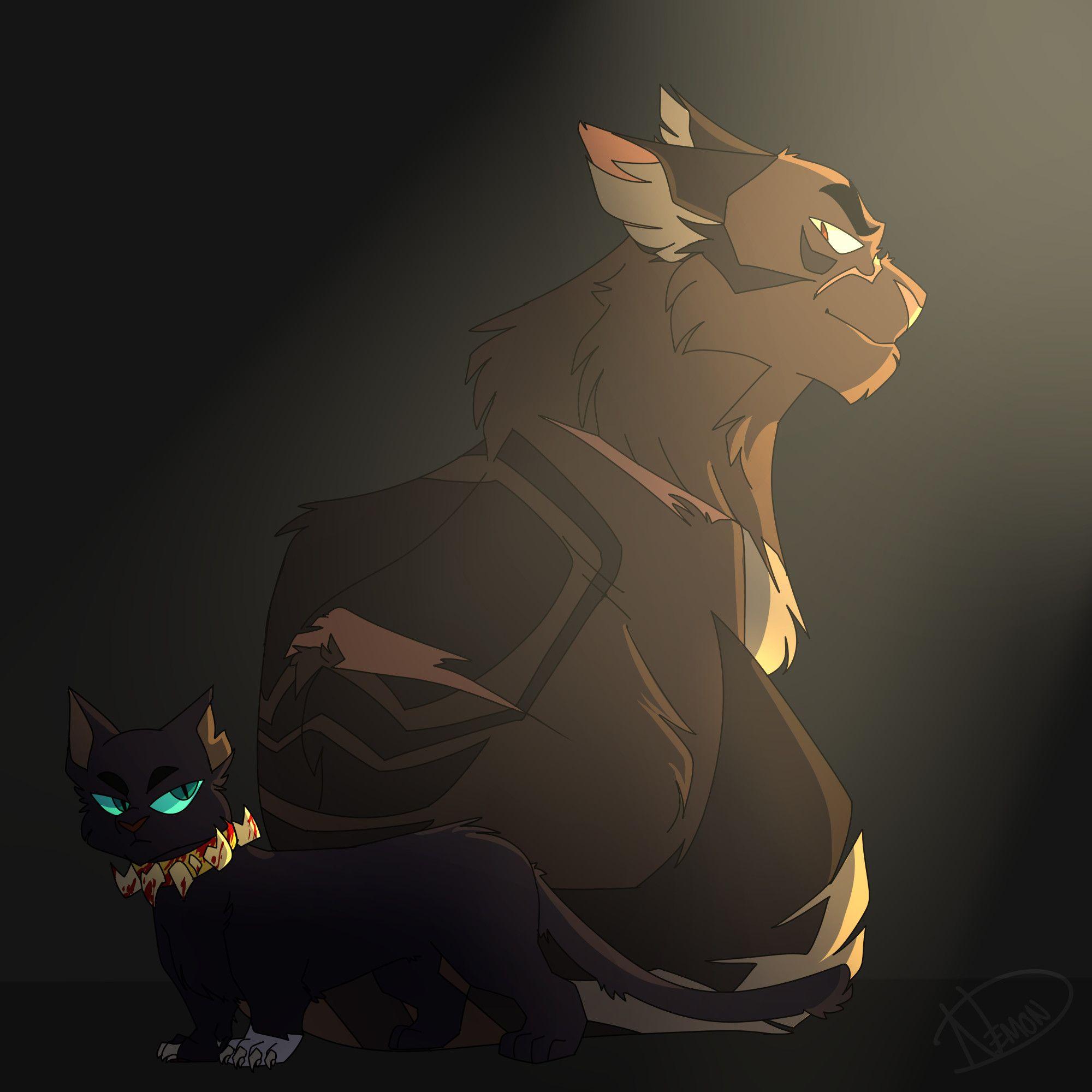 Warrior Cats Jayfeather Wallpapers