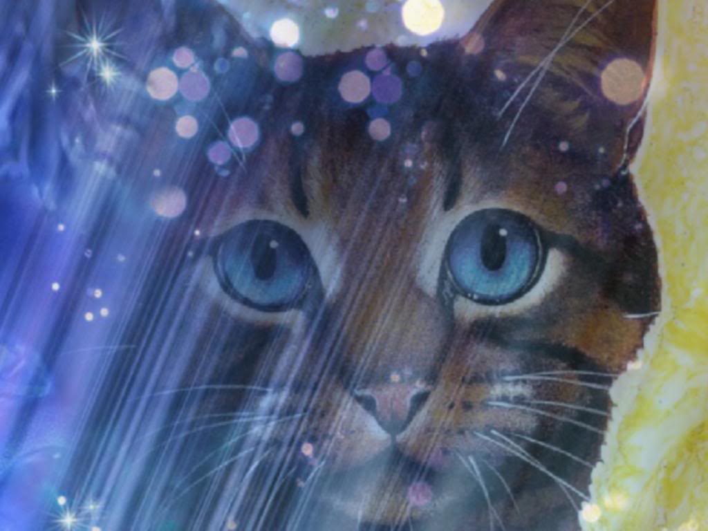 Warrior Cats Jayfeather Wallpapers