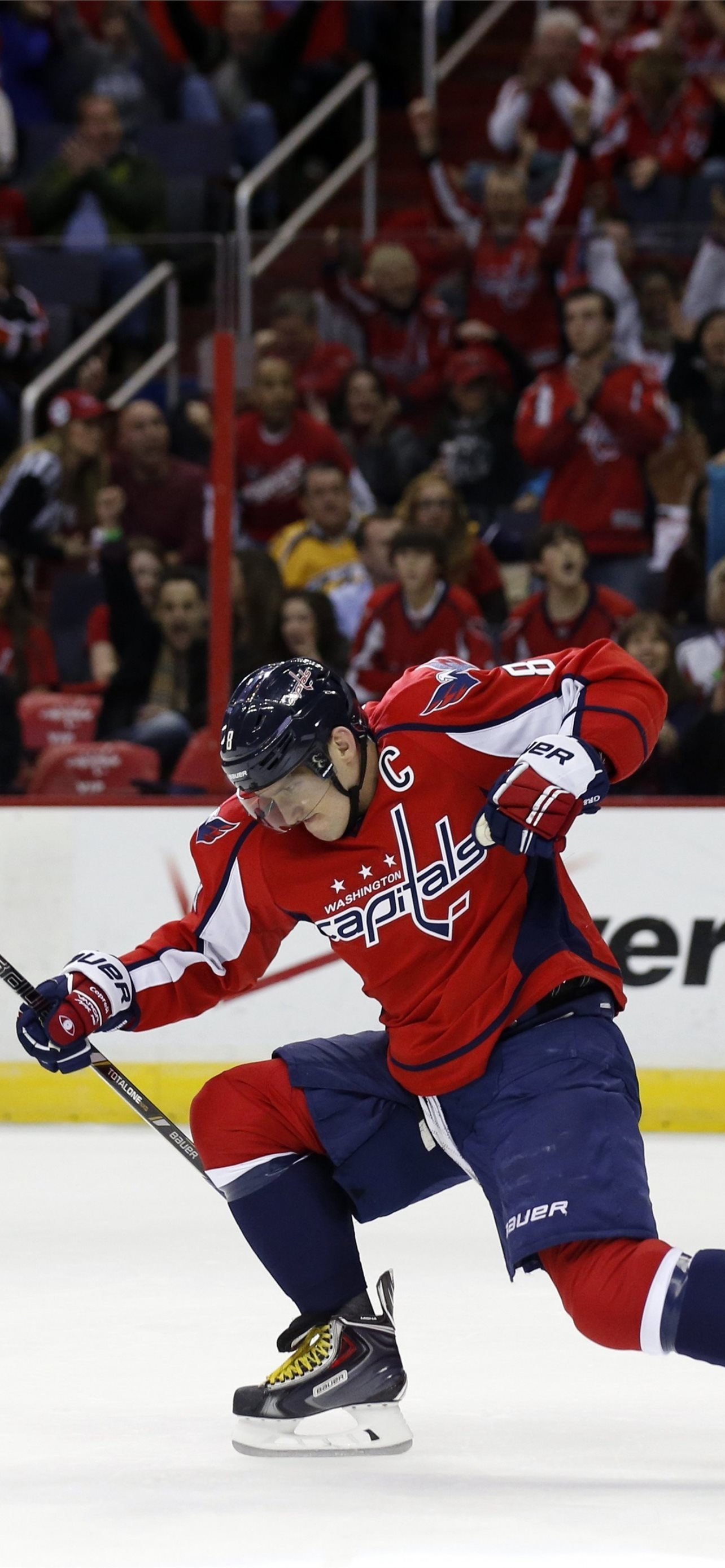 Washington Capitals Wallpapers