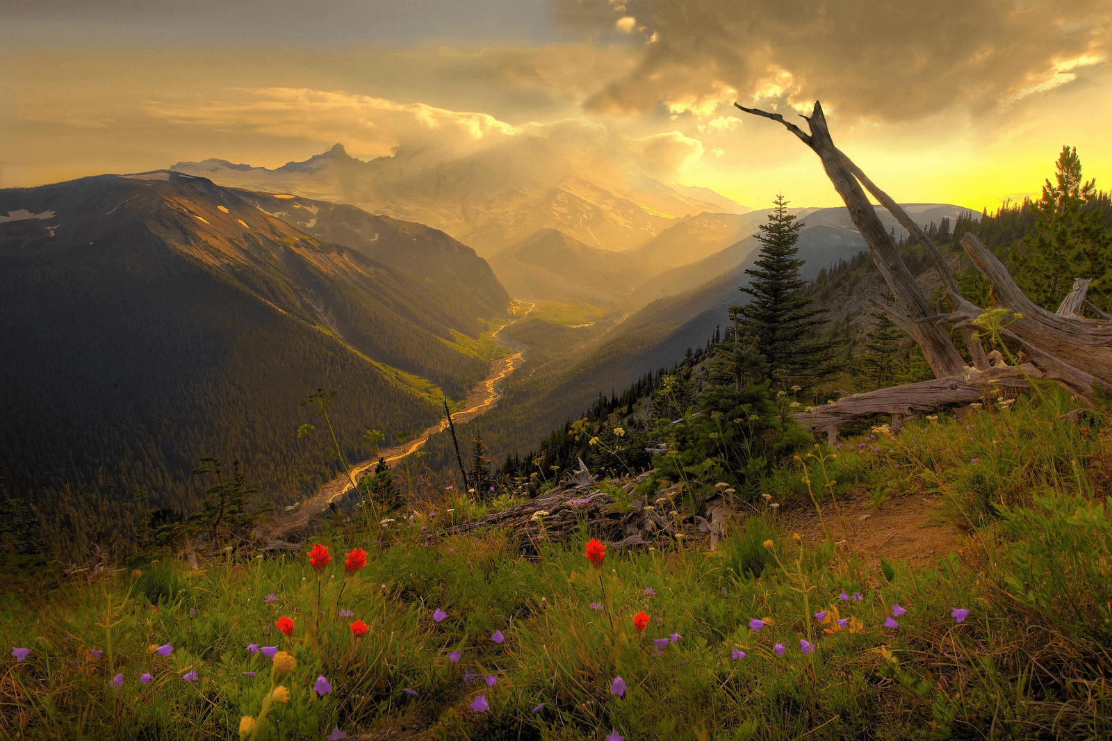 Washington Landscapes Wallpapers