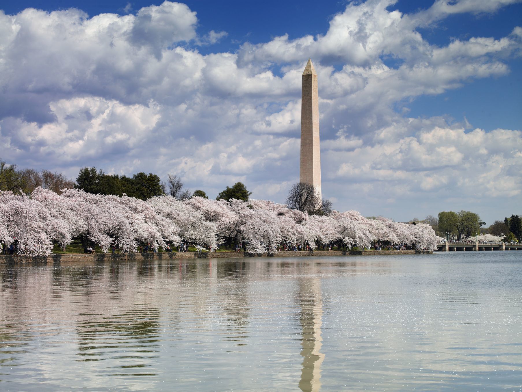 Washington Monument Wallpapers