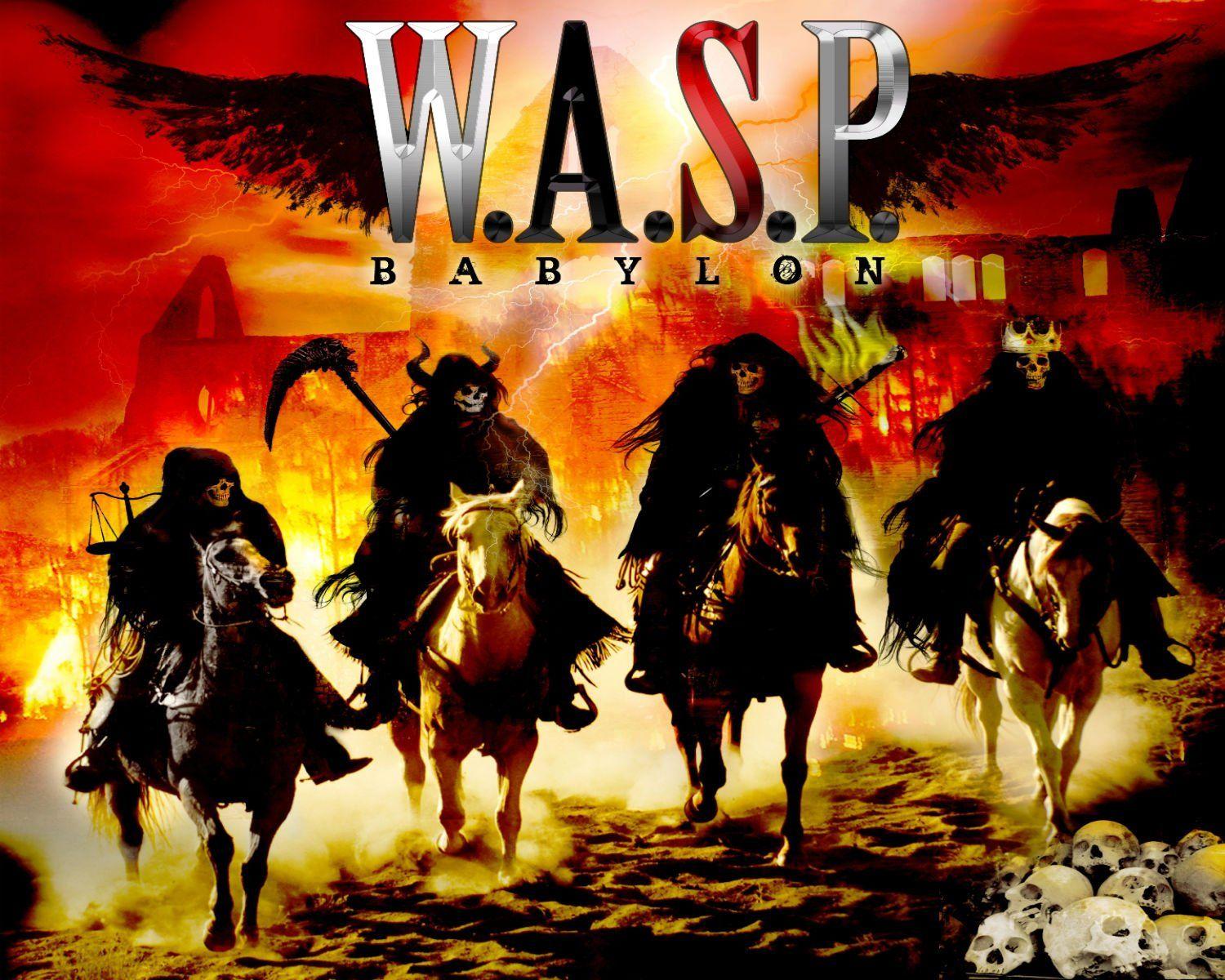 Wasp Wallpapers