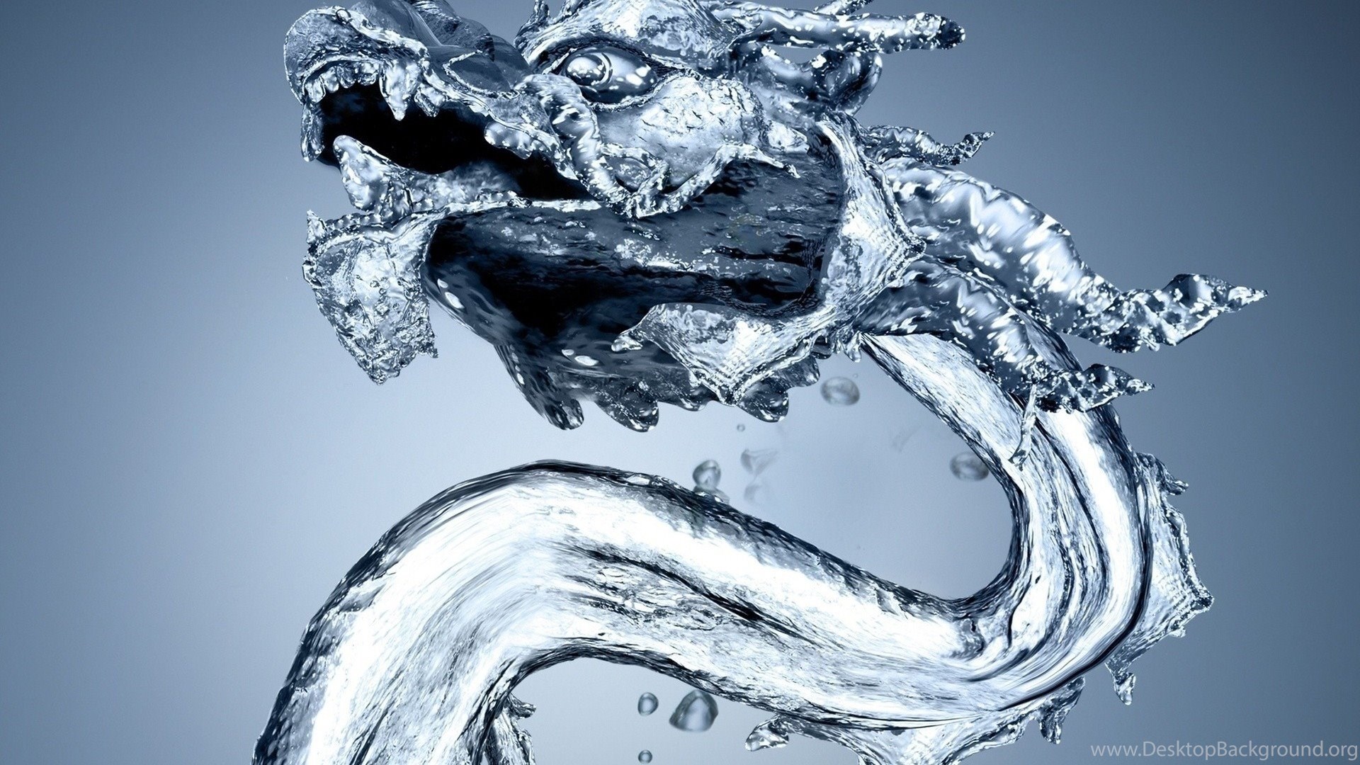 Water Dragon Artwork Wallpapers