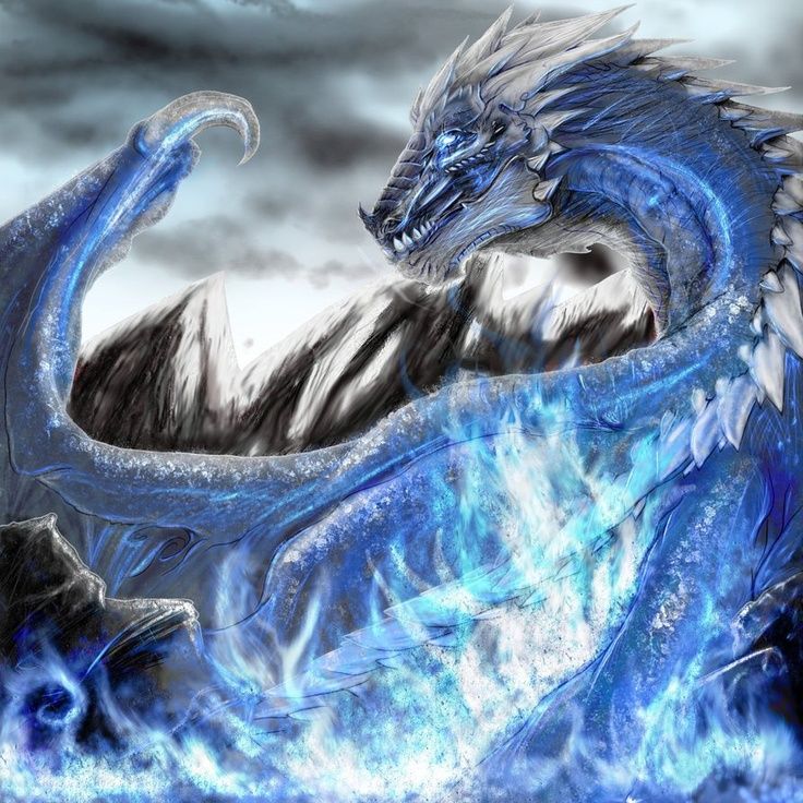 Water Dragon Artwork Wallpapers