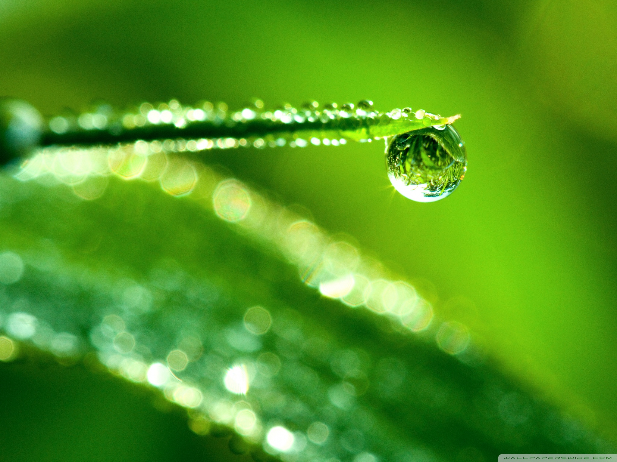 Water Drop Reflection Wallpapers