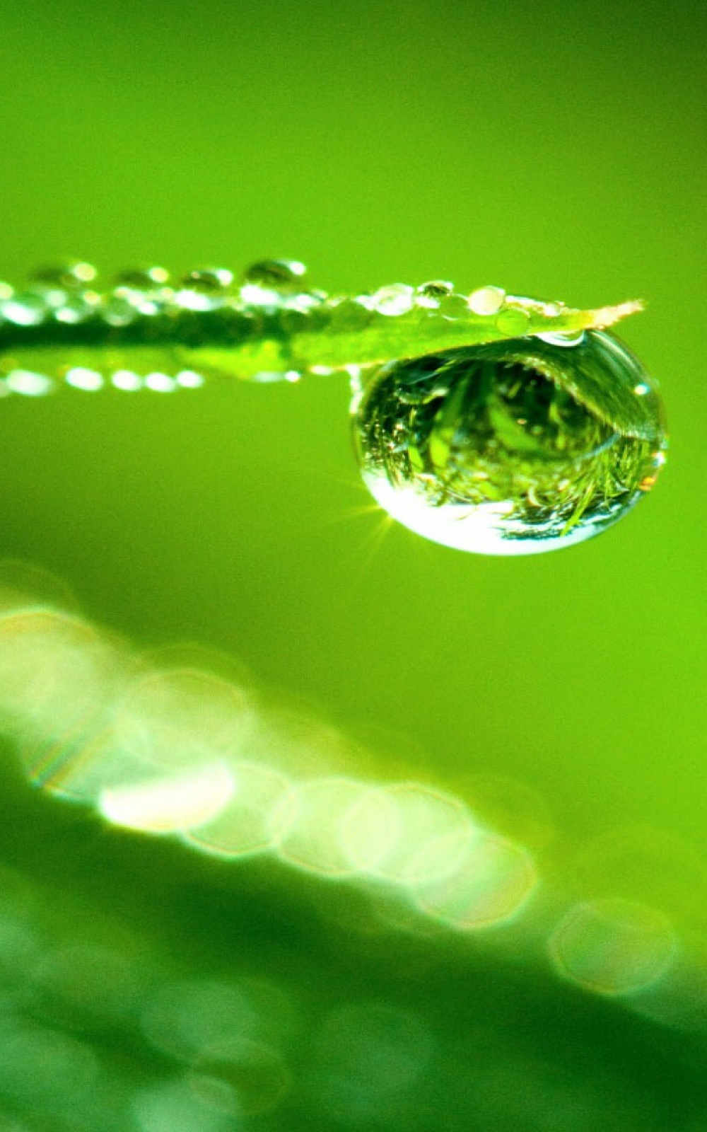 Water Drop Reflection Wallpapers