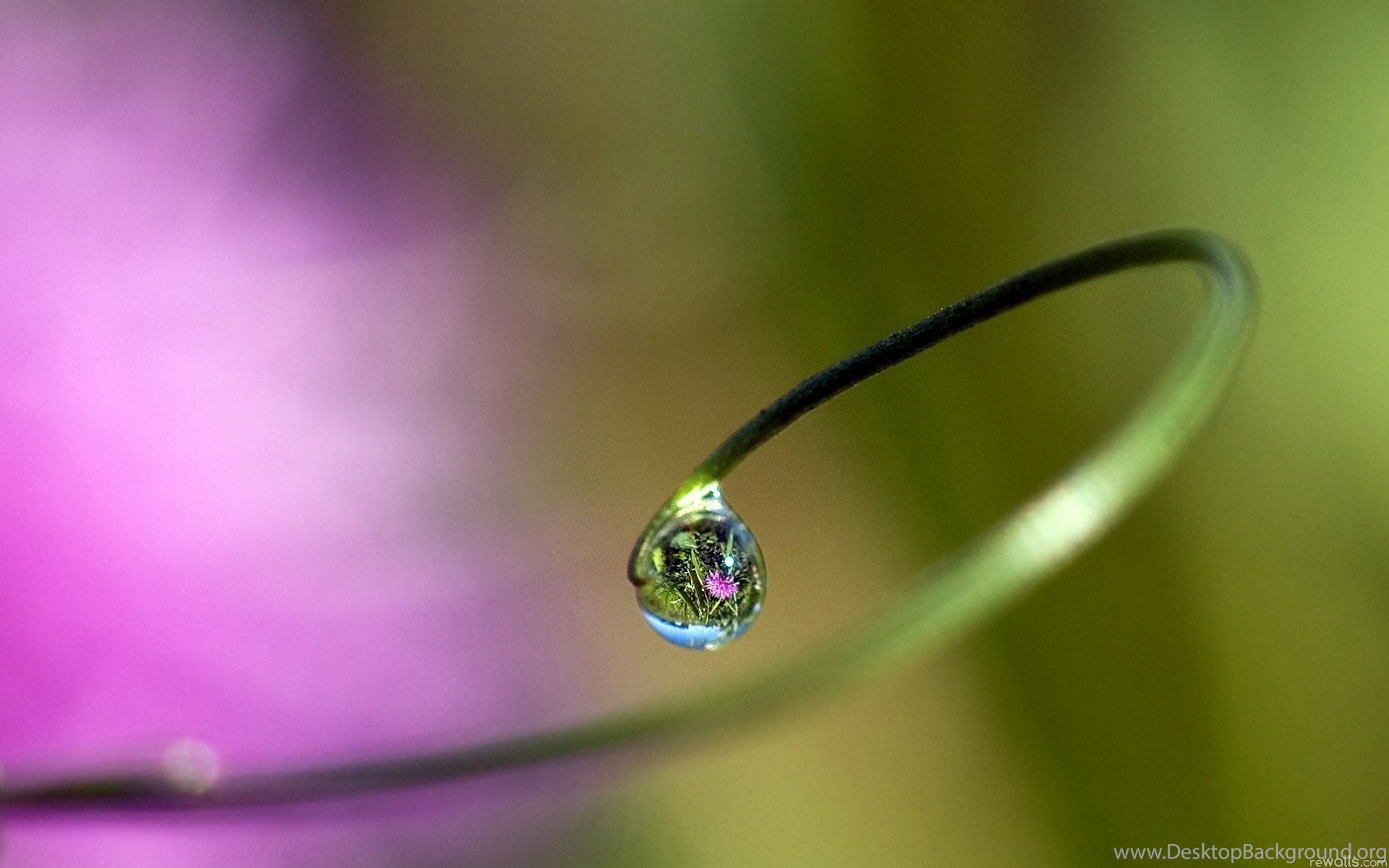 Water Drop Reflection Wallpapers