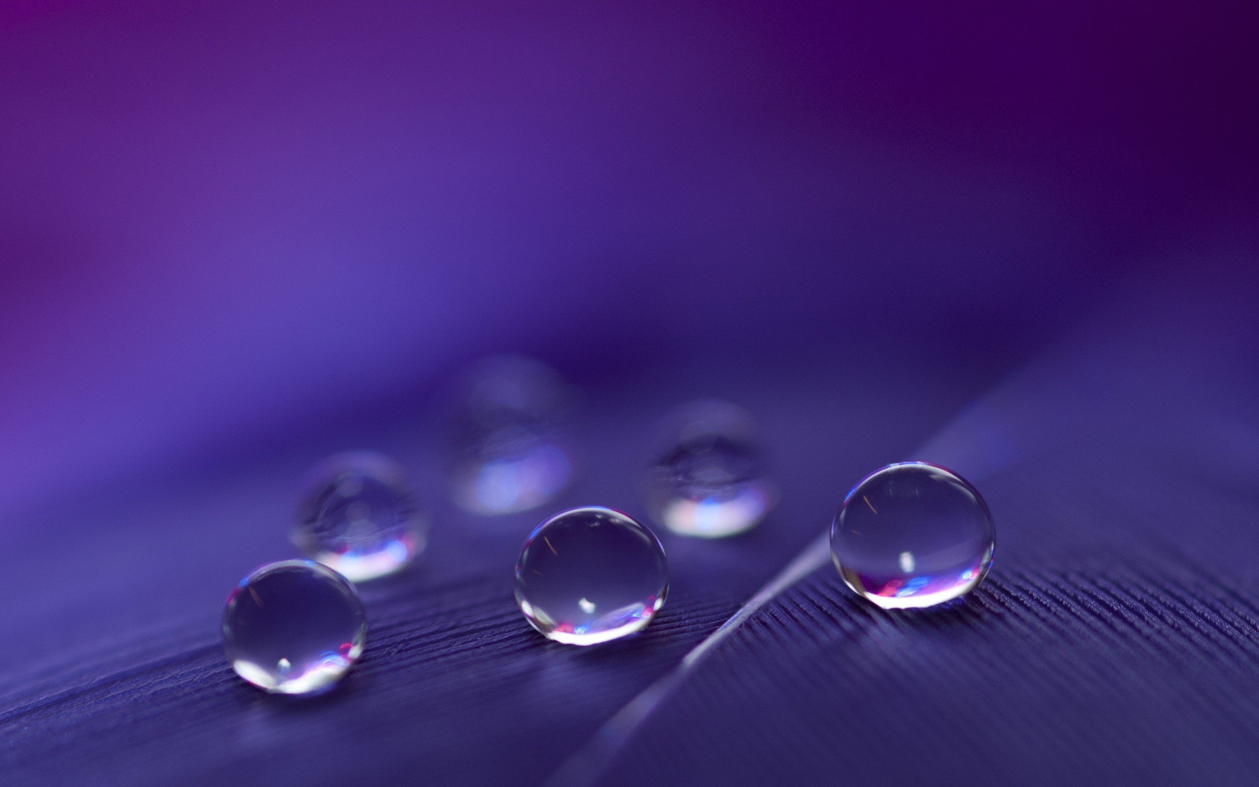 Water Drop Reflection Wallpapers