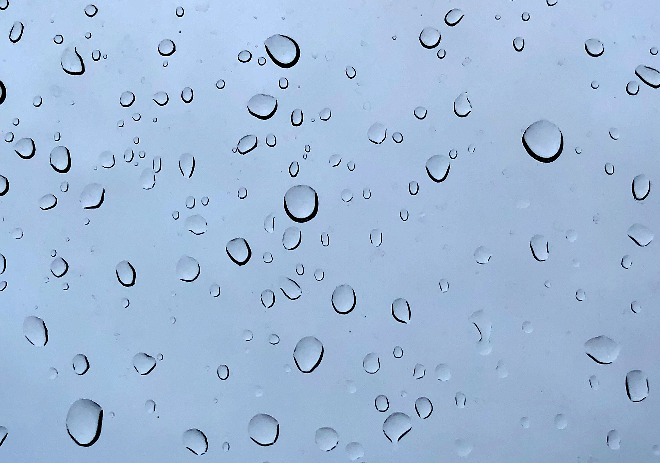 Water Droplets Wallpapers