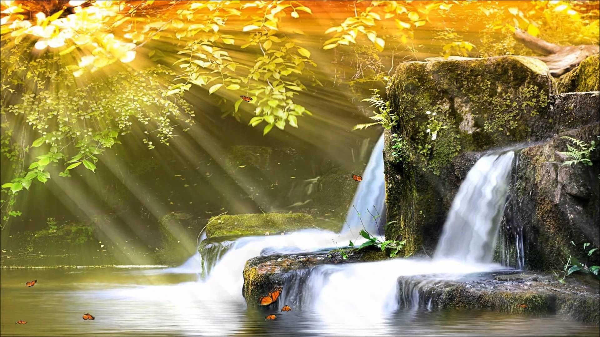 Water Fall Live Wallpapers