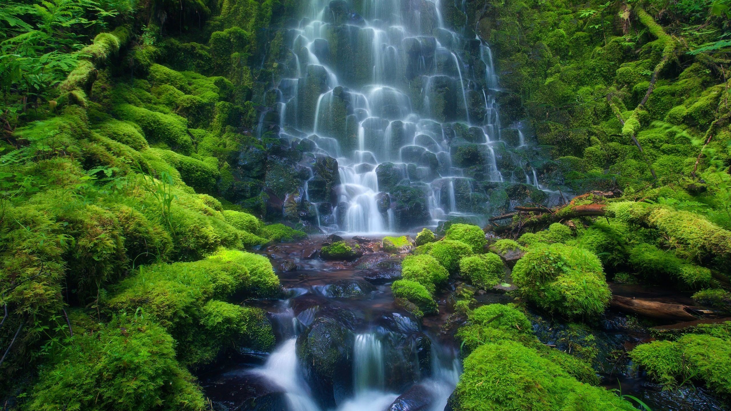 Water Fall Live Wallpapers