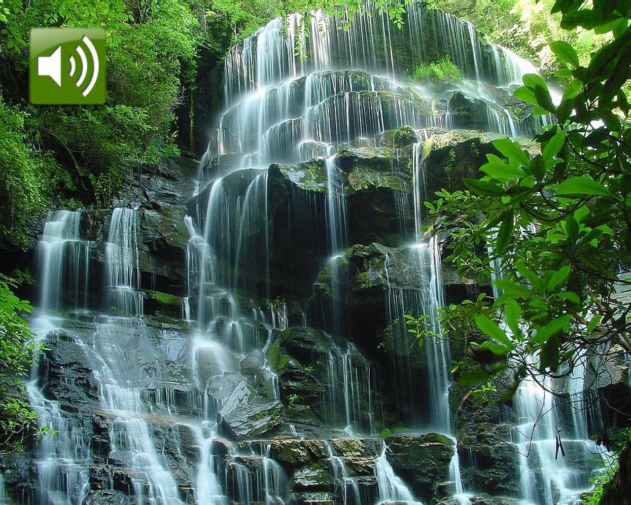 Water Fall Live Wallpapers