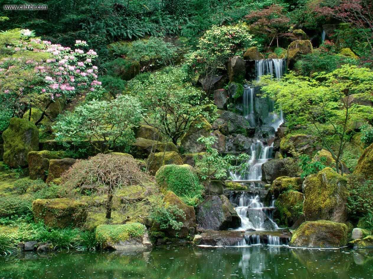 Water Garden Wallpapers