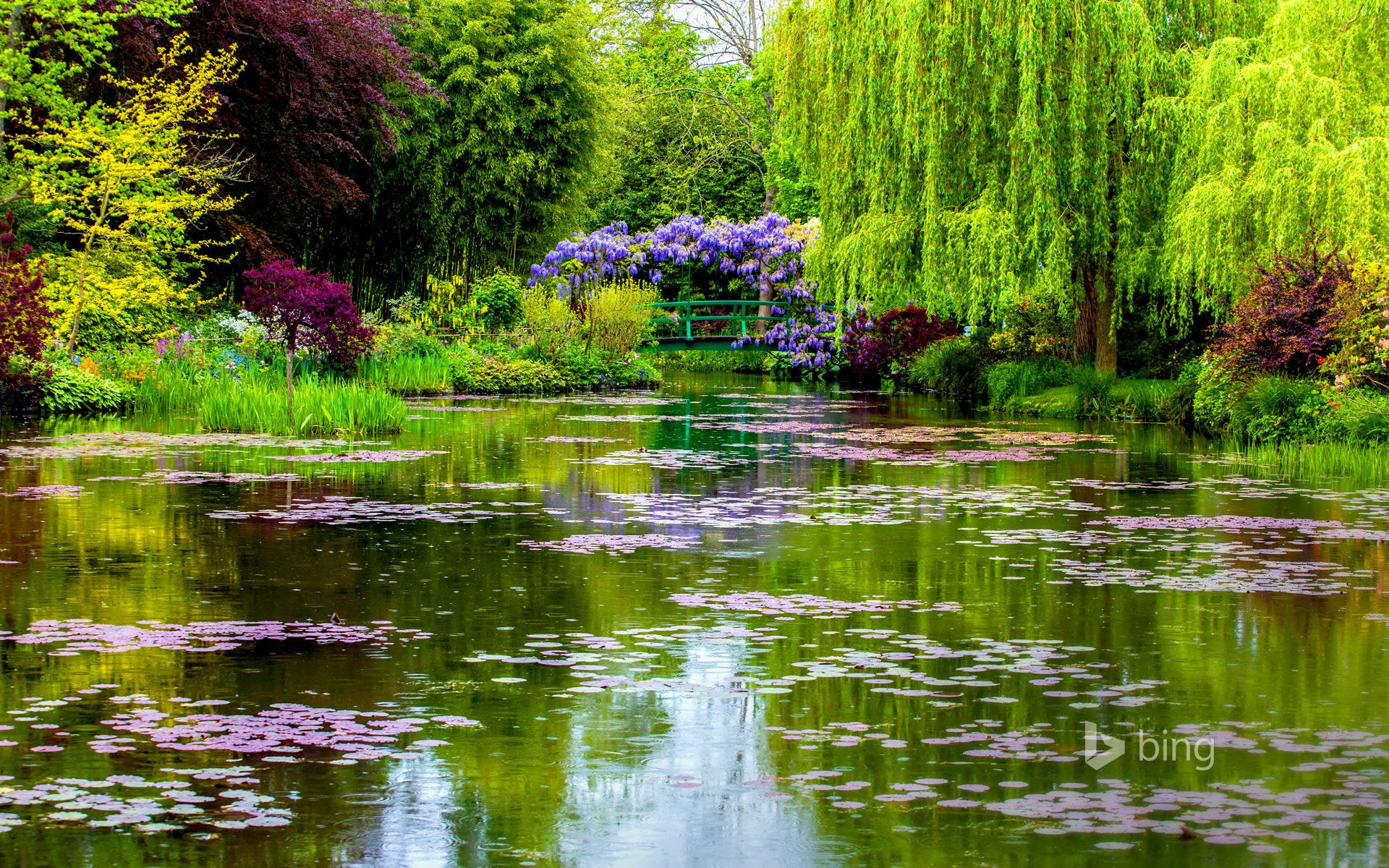 Water Garden Wallpapers