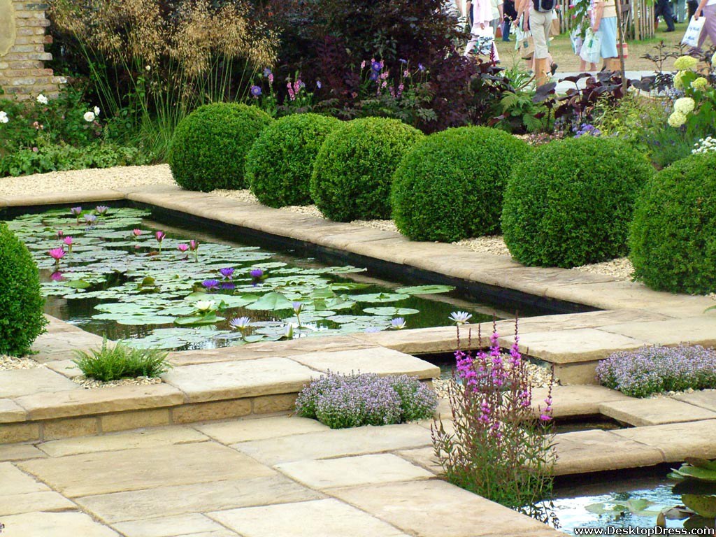 Water Garden Wallpapers