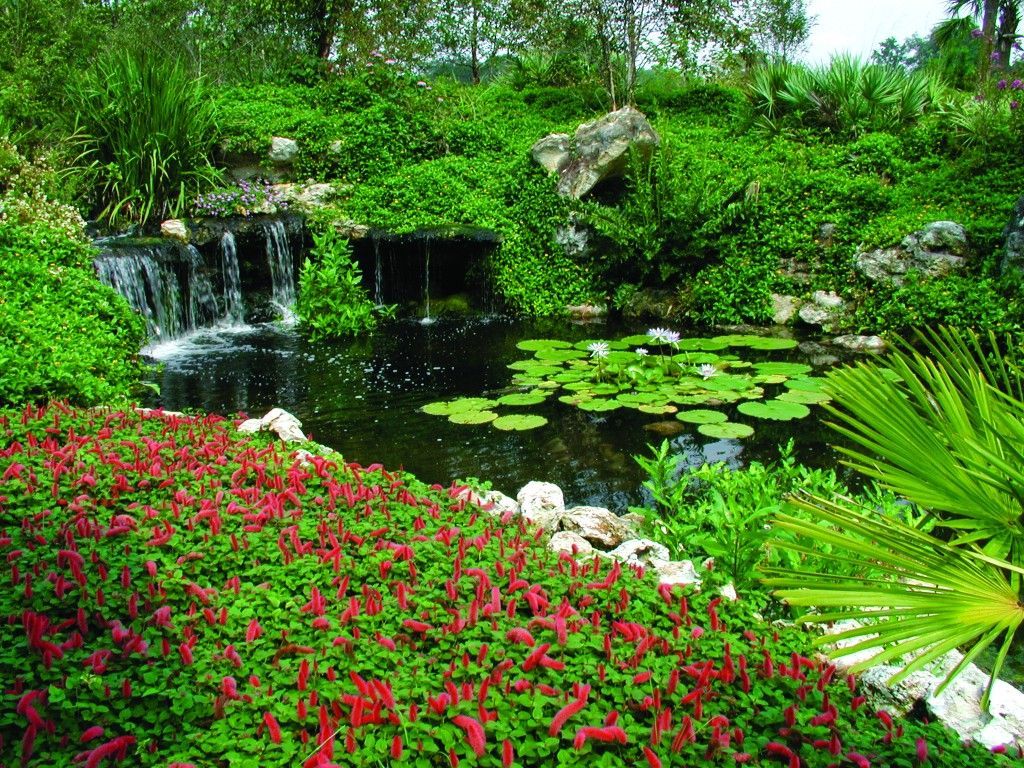 Water Garden Wallpapers