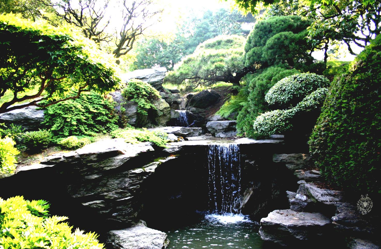 Water Garden Wallpapers