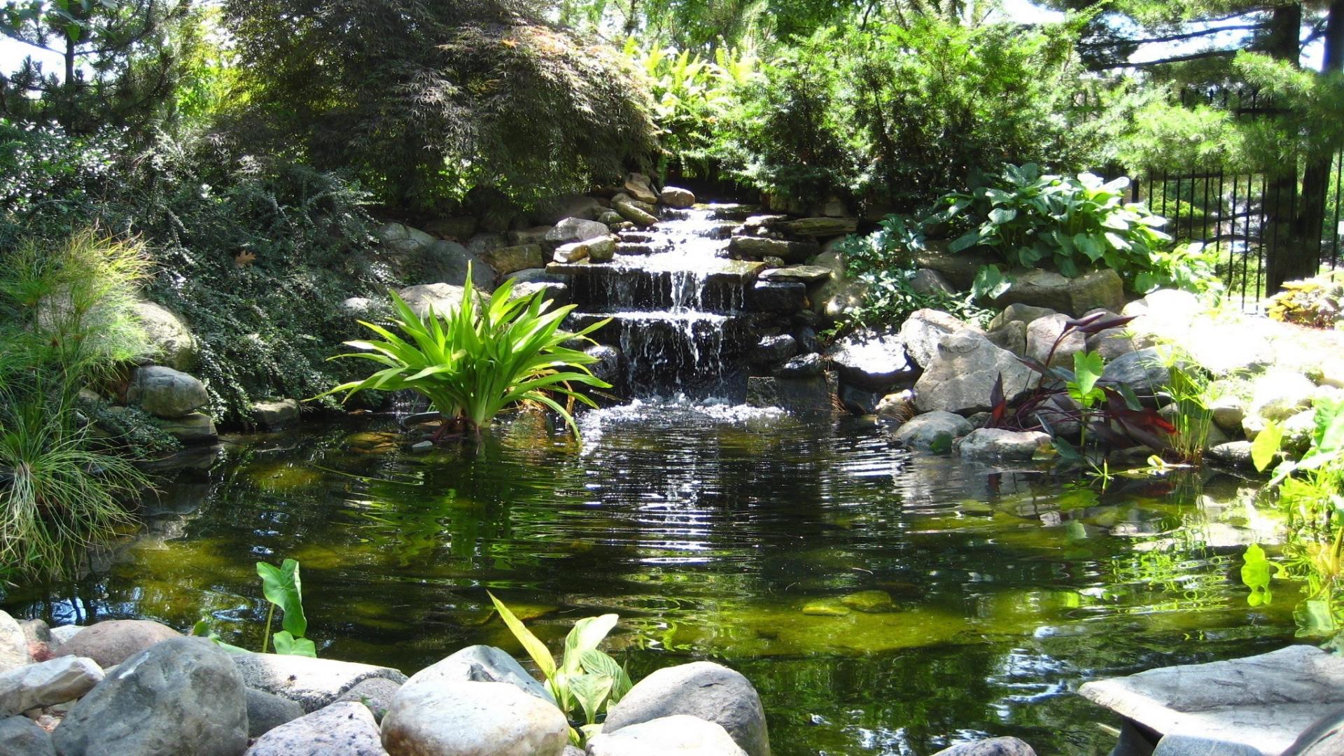 Water Garden Wallpapers