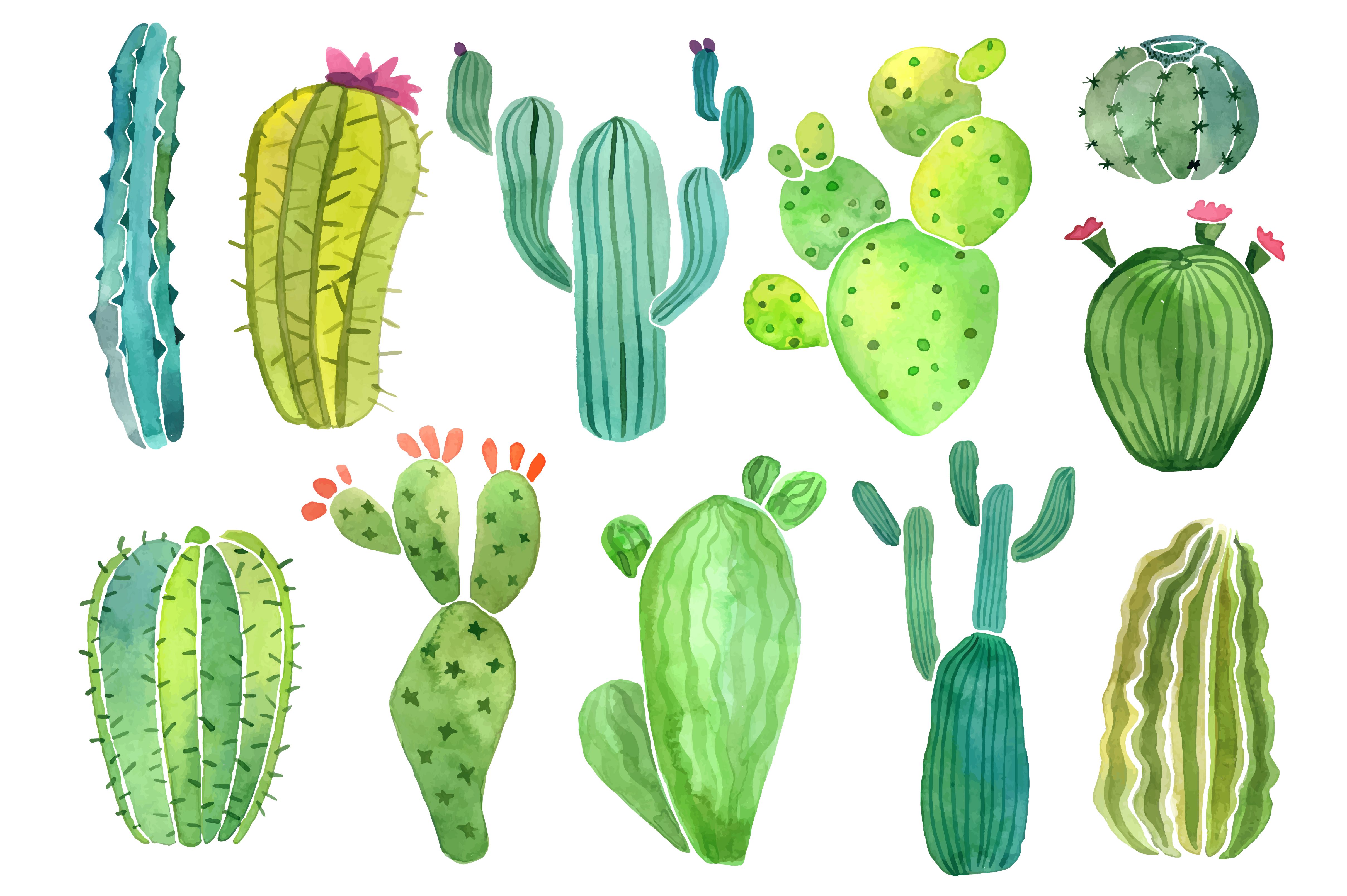 Watercolor Cactus Background