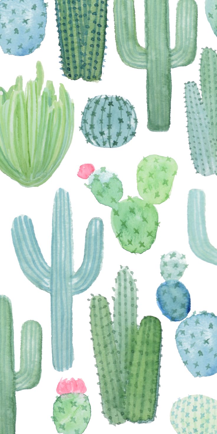 Watercolor Cactus Background