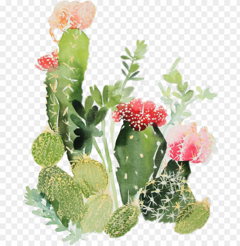 Watercolor Cactus Background