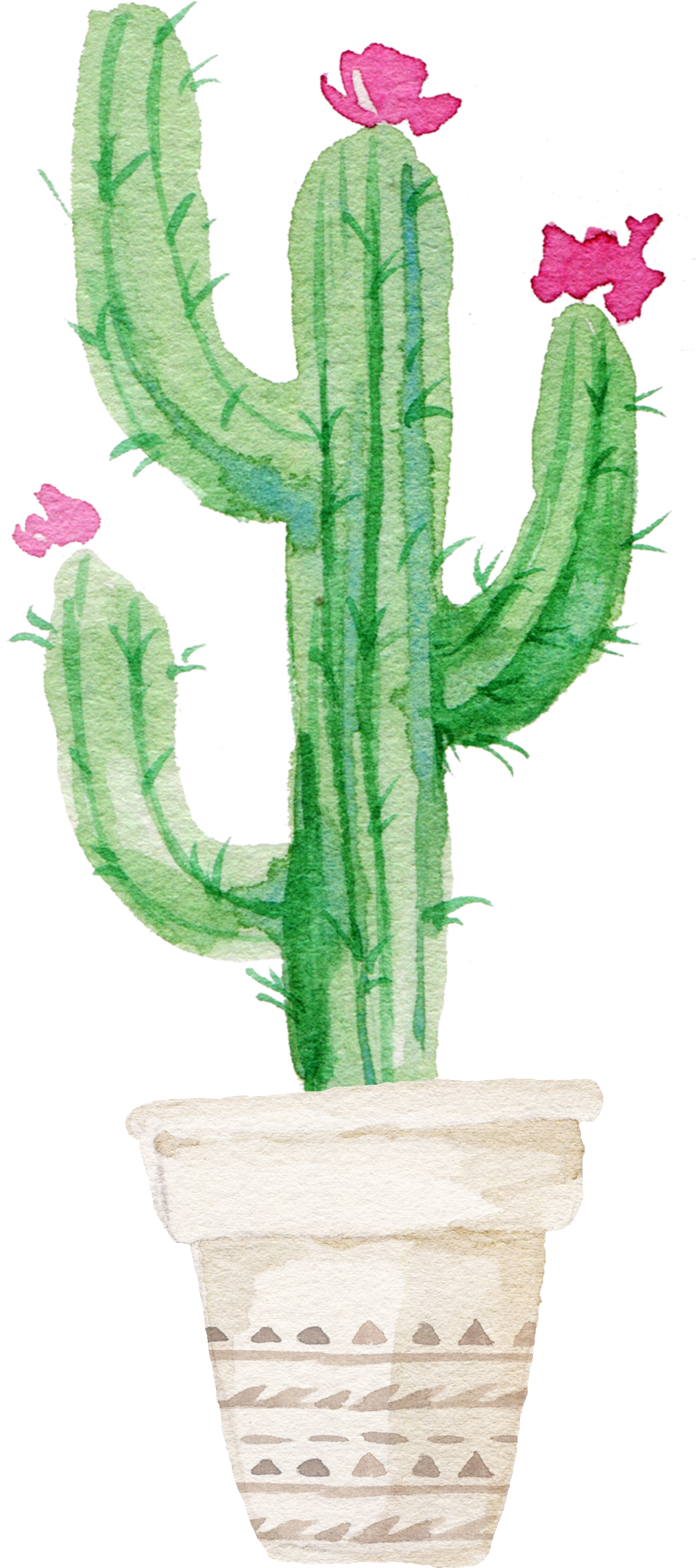 Watercolor Cactus Background