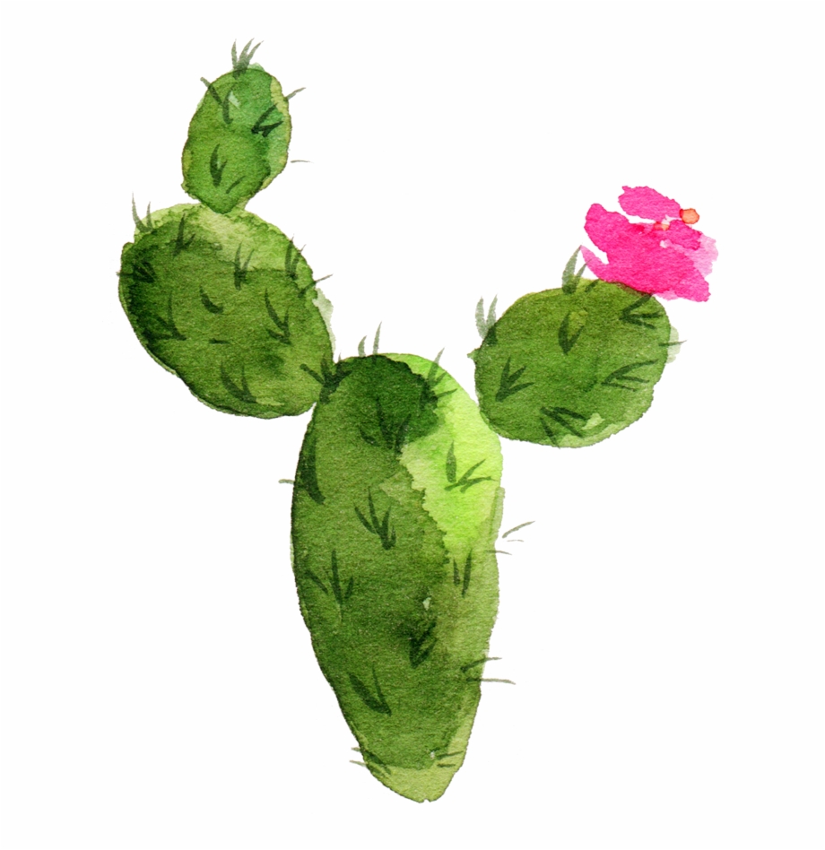 Watercolor Cactus Background