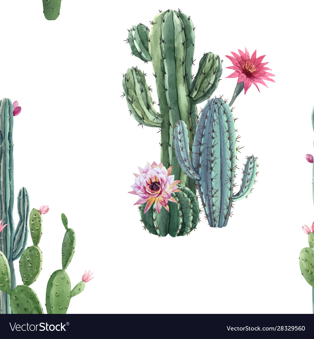 Watercolor Cactus Background