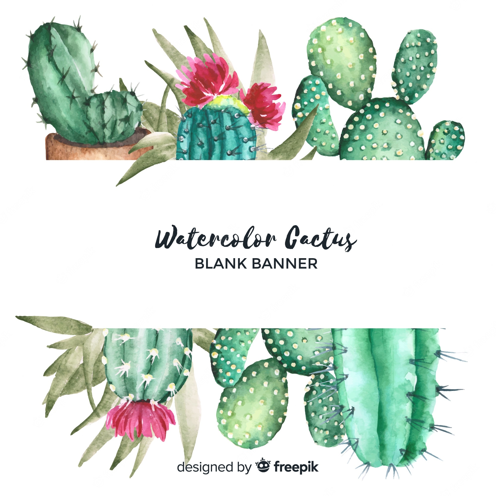 Watercolor Cactus Background