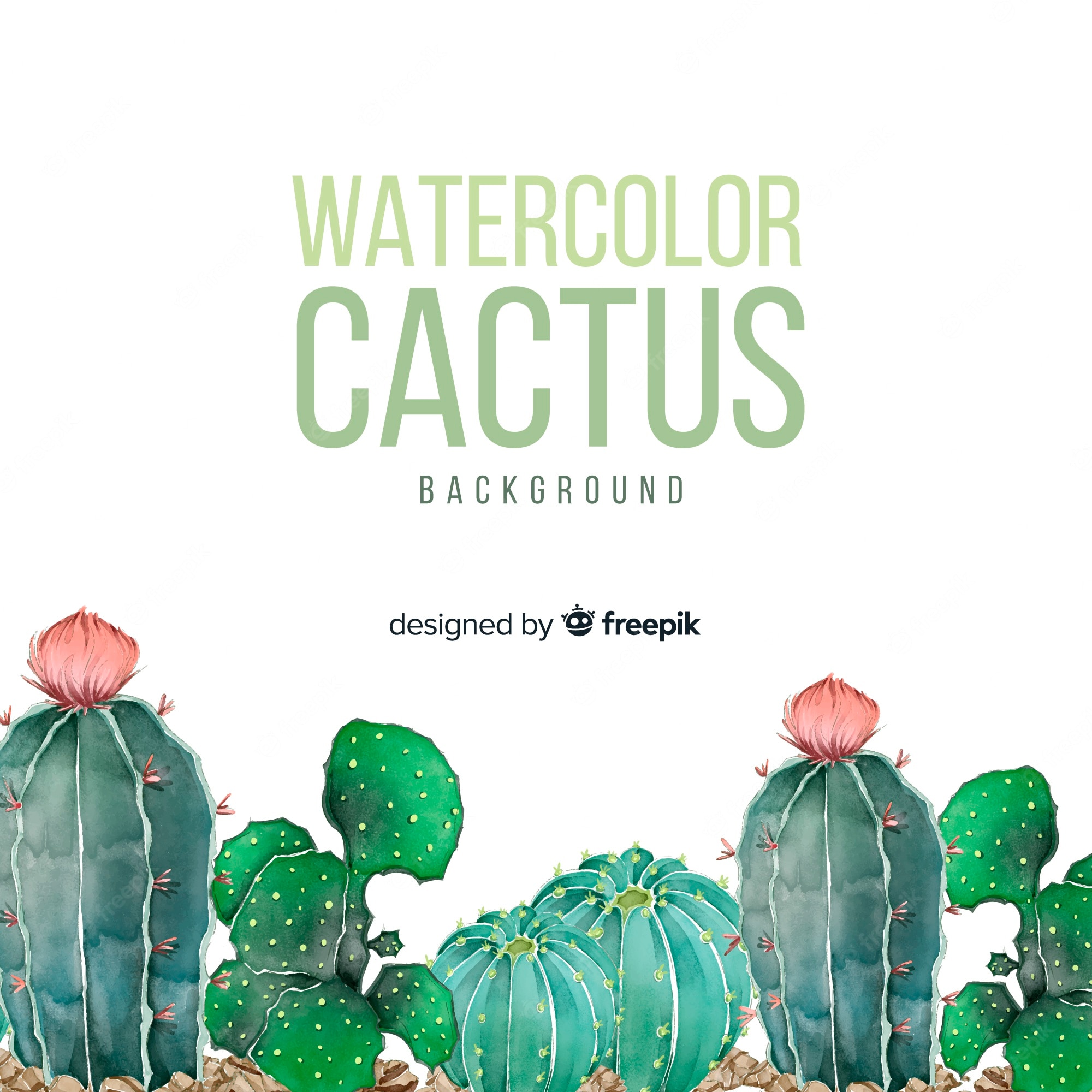 Watercolor Cactus Background