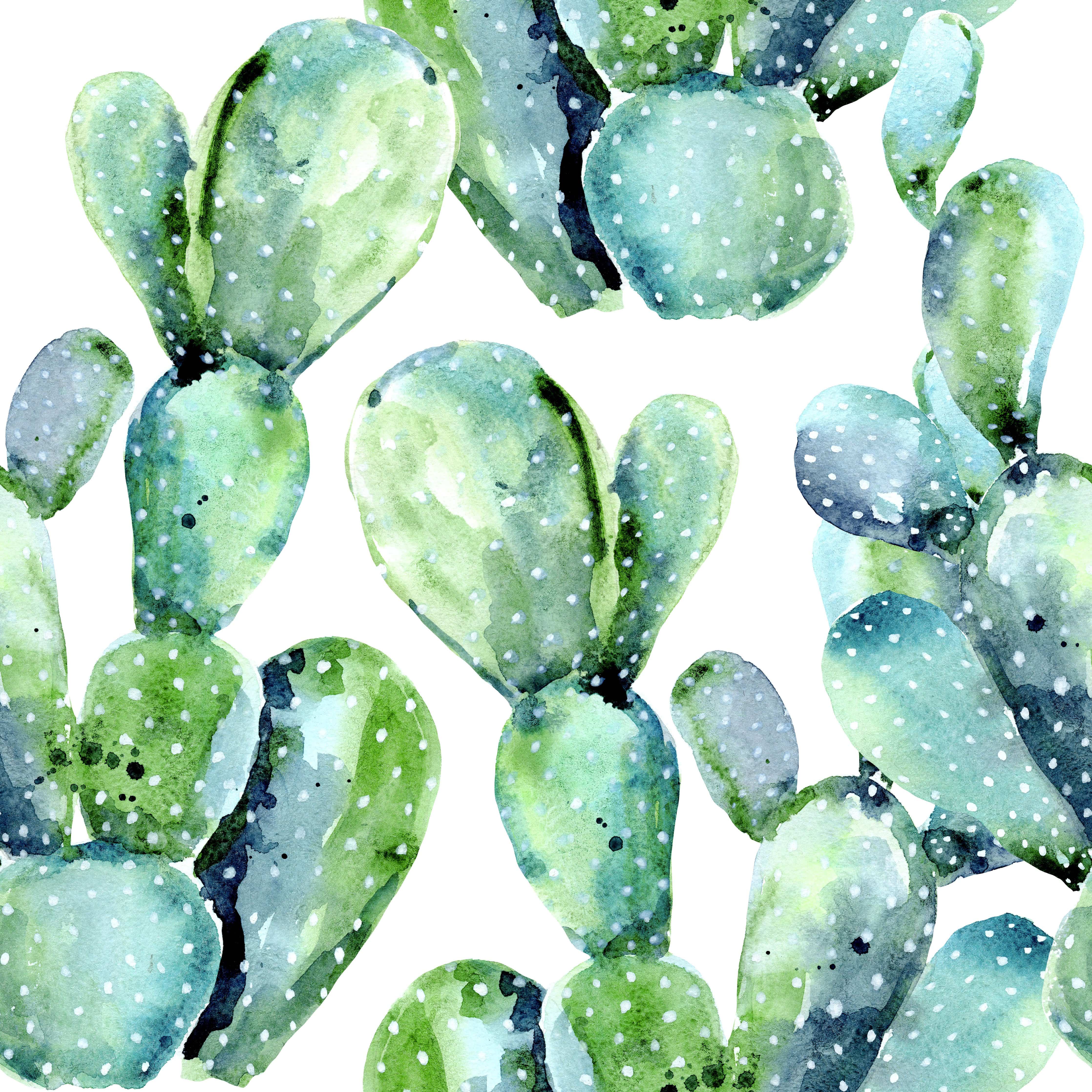 Watercolor Cactus Background