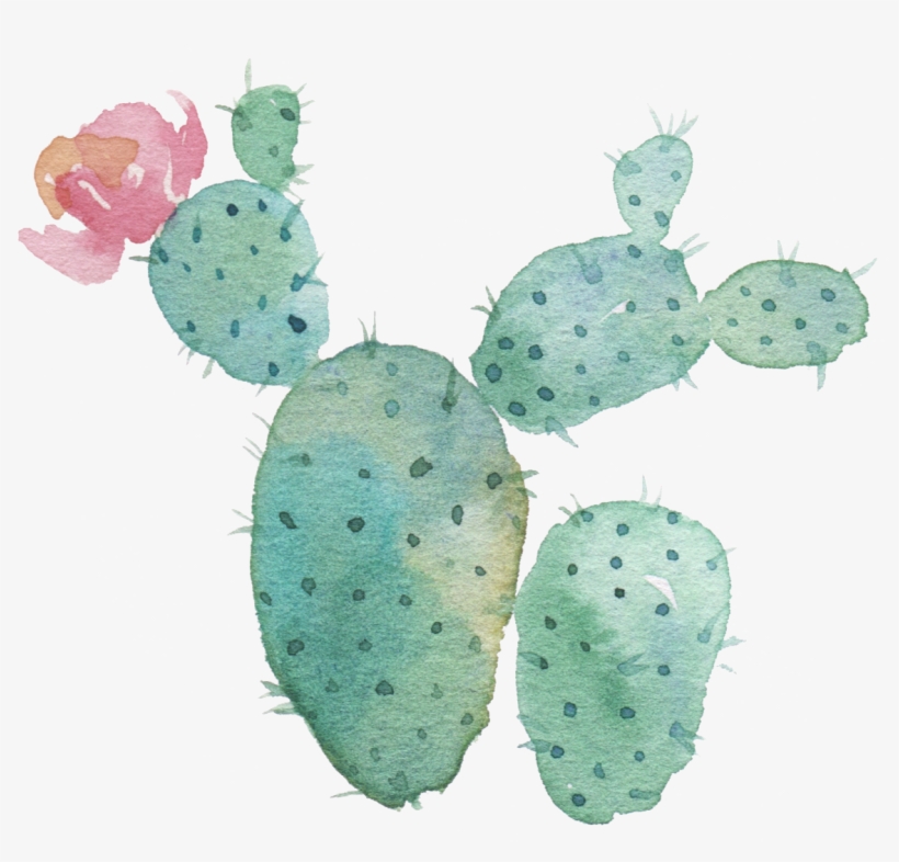 Watercolor Cactus Background