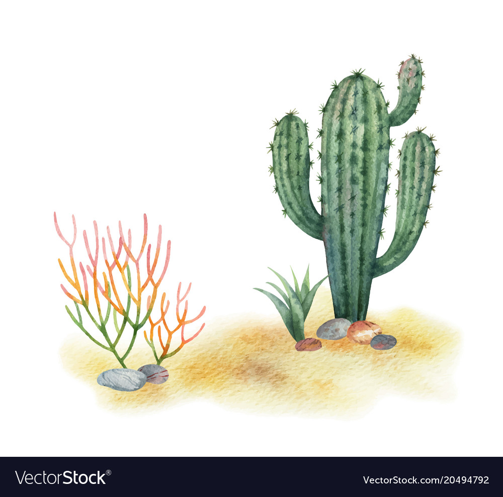 Watercolor Cactus Background