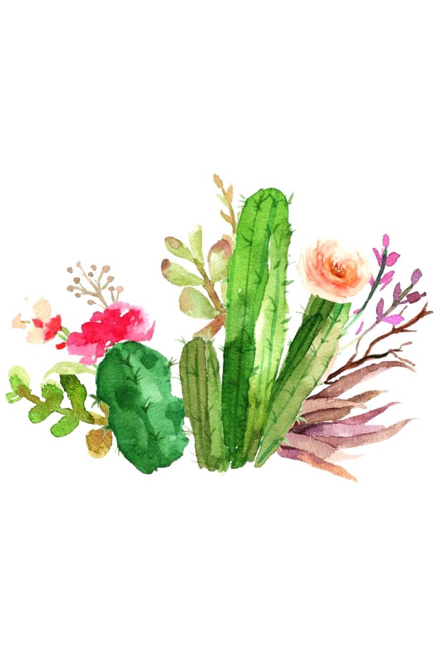 Watercolor Cactus Background