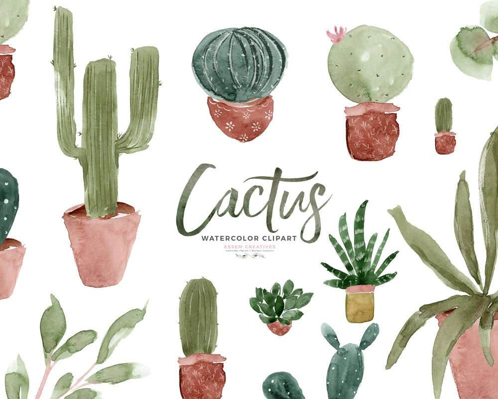 Watercolor Cactus Background