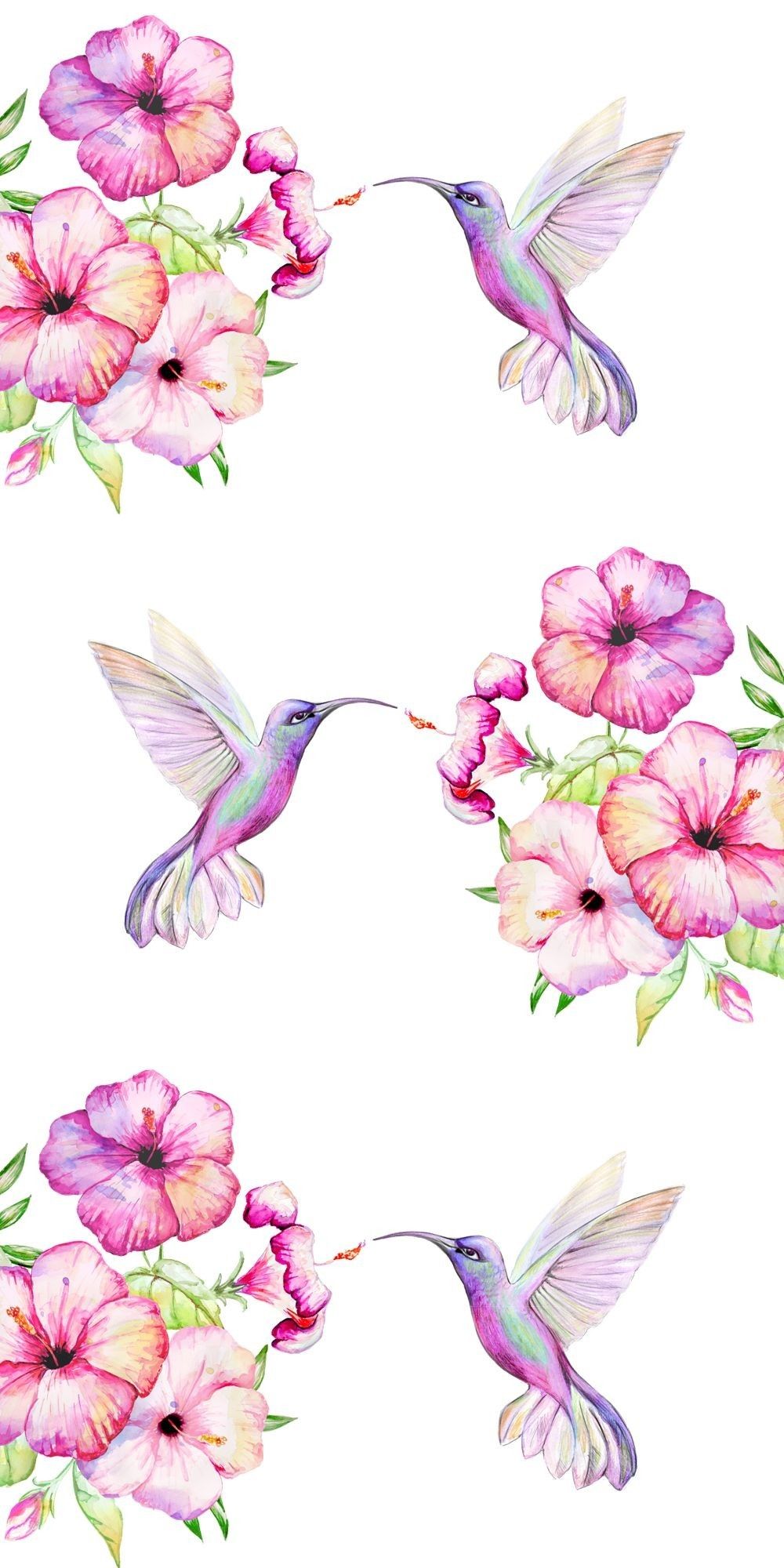 Watercolor Hummingbird Images Wallpapers