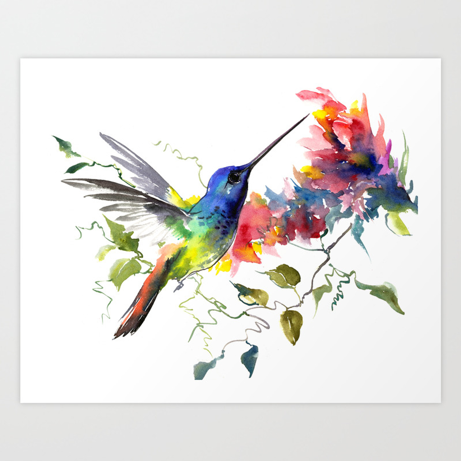 Watercolor Hummingbird Images Wallpapers