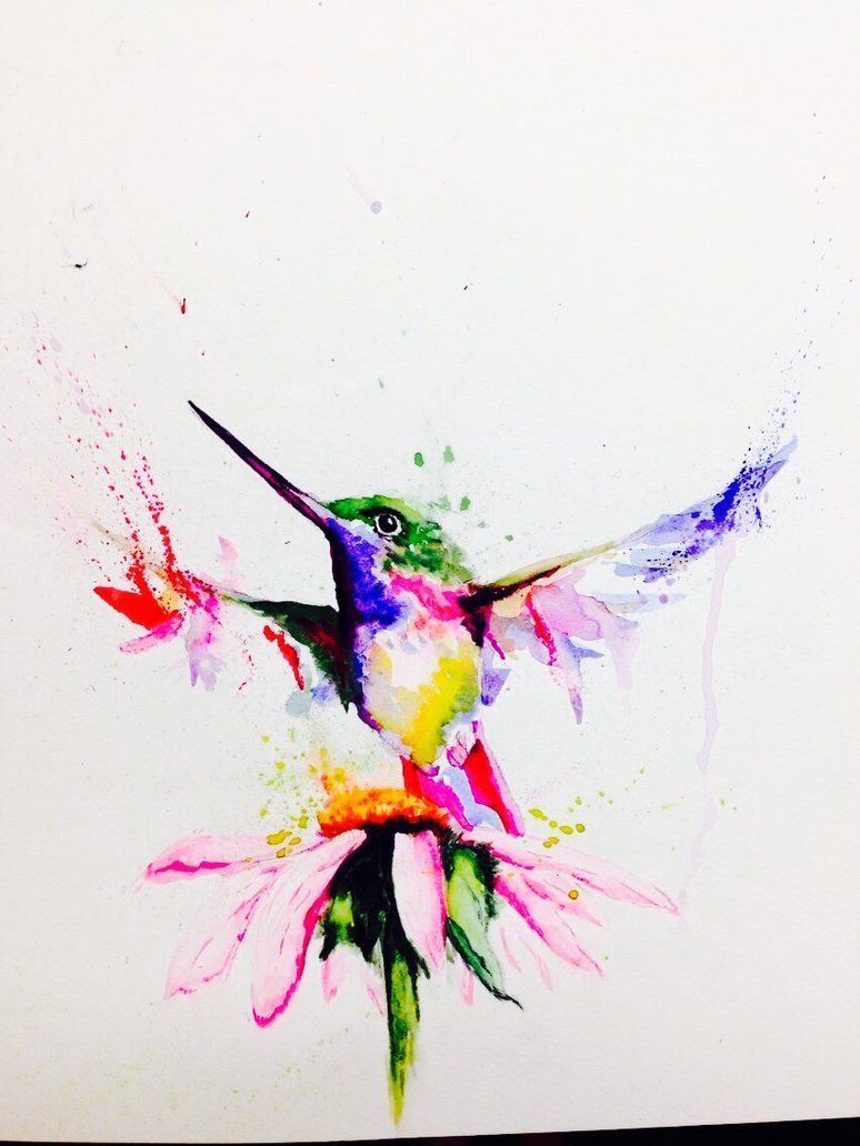 Watercolor Hummingbird Images Wallpapers