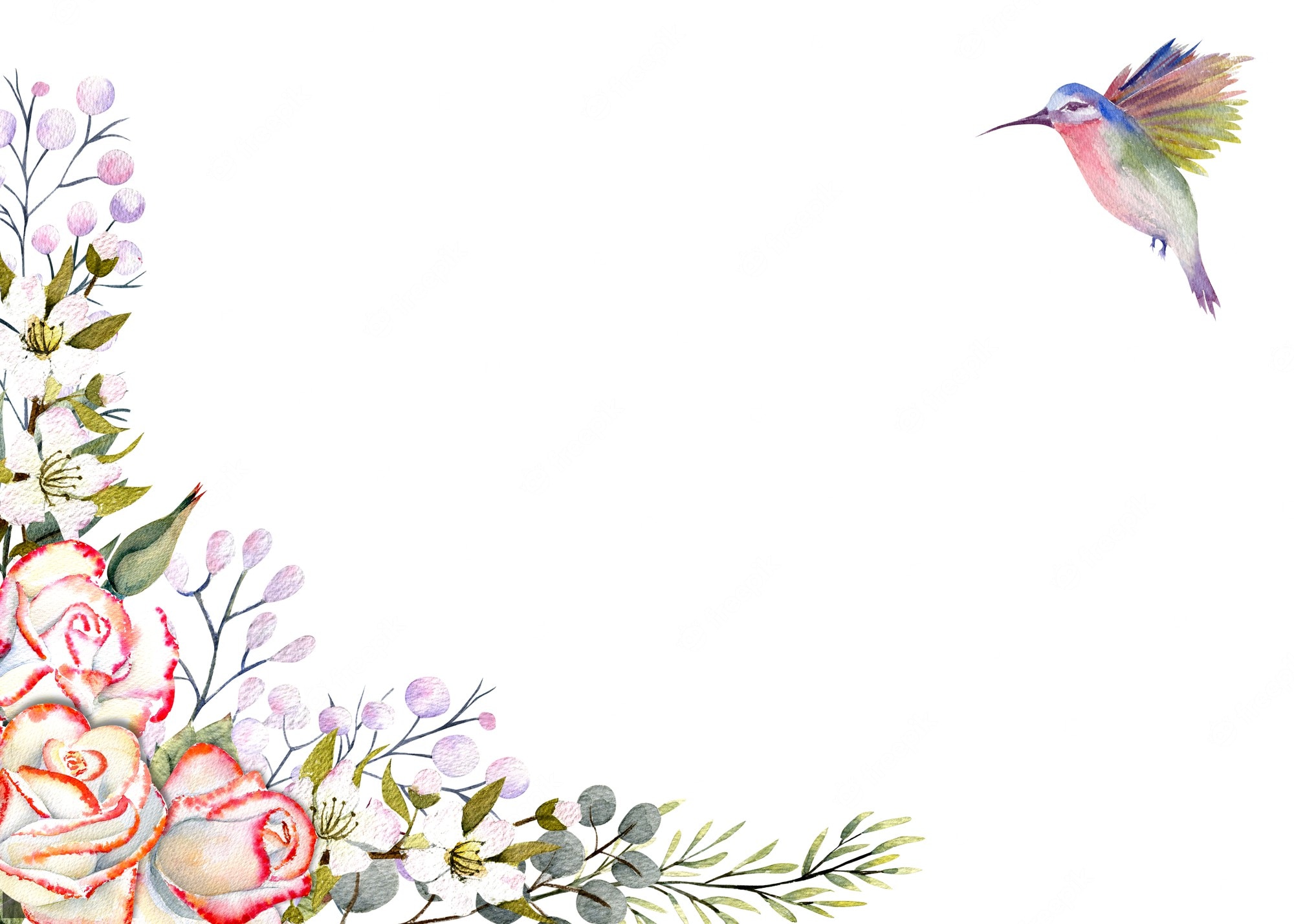 Watercolor Hummingbird Images Wallpapers