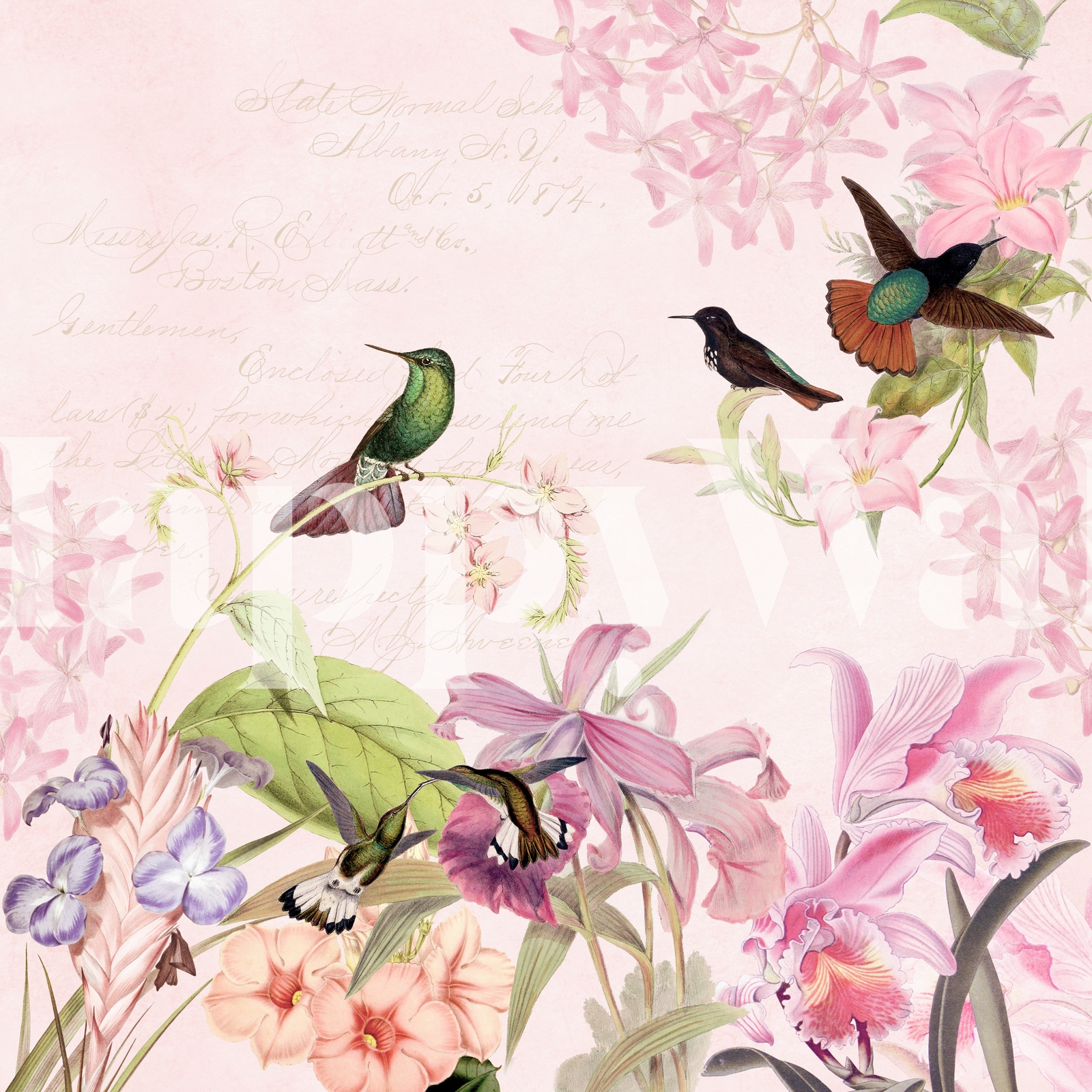 Watercolor Hummingbird Images Wallpapers