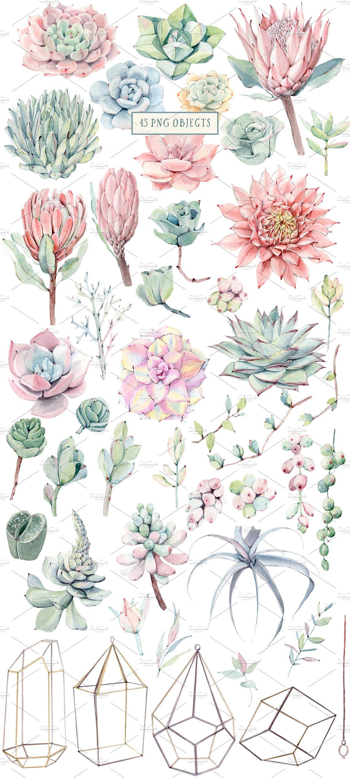 Watercolor Succulent Wallpapers