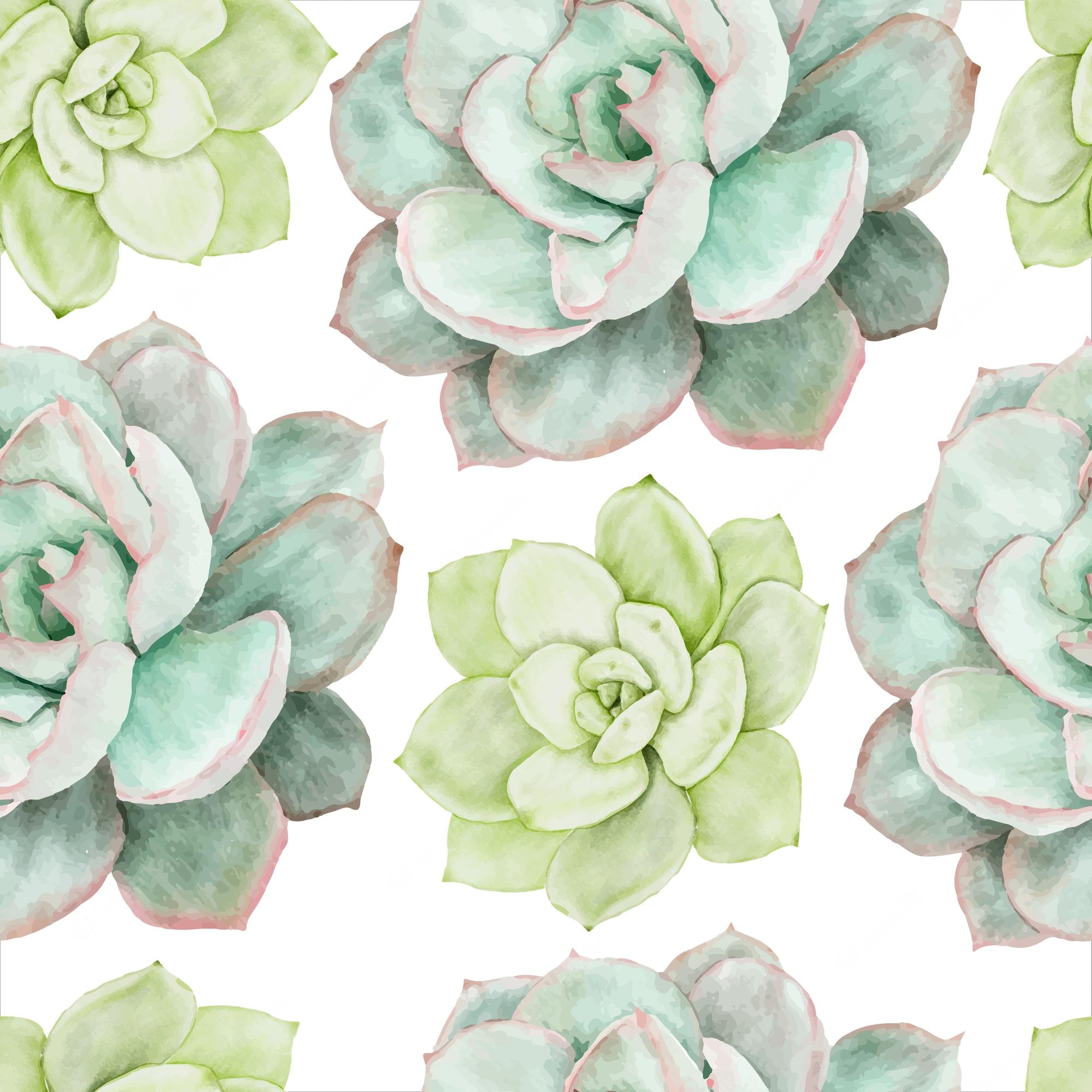 Watercolor Succulent Wallpapers