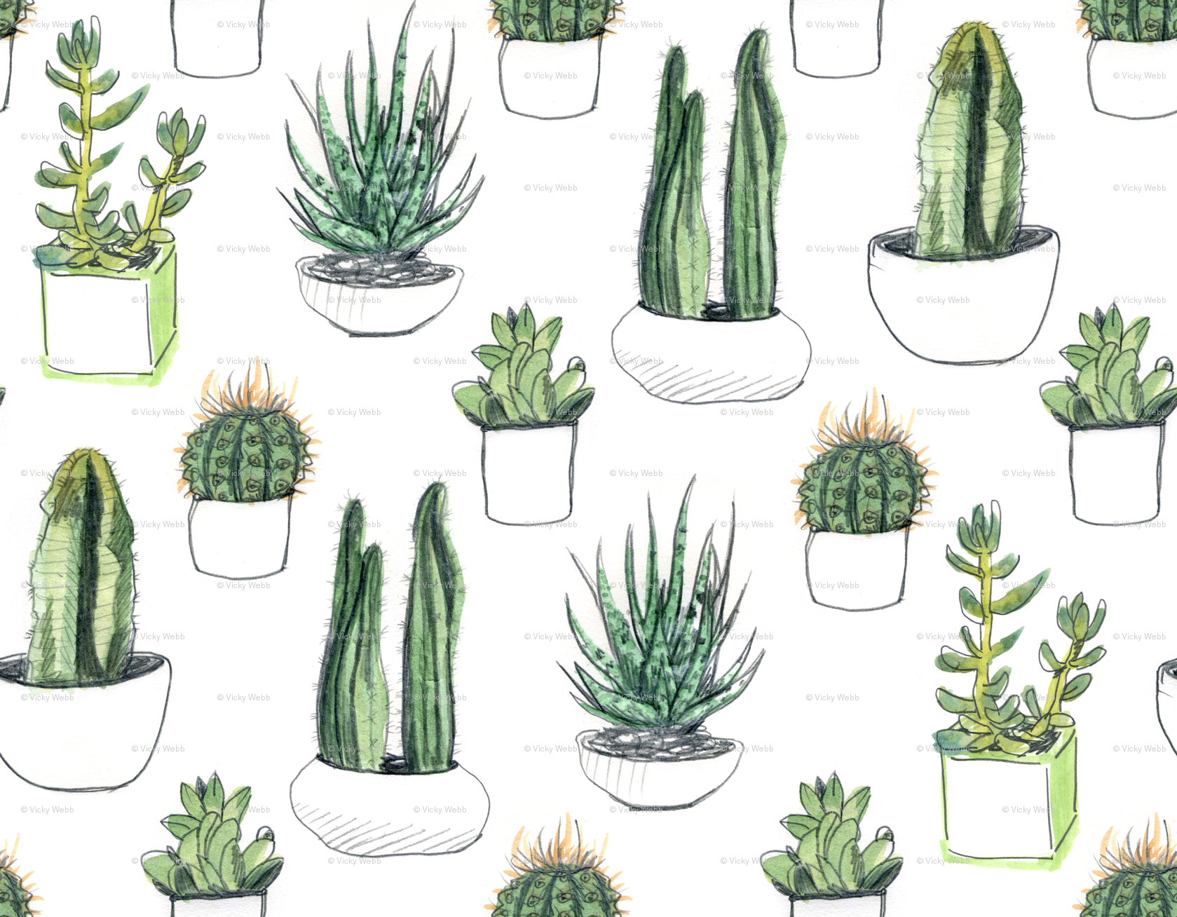 Watercolor Succulent Wallpapers