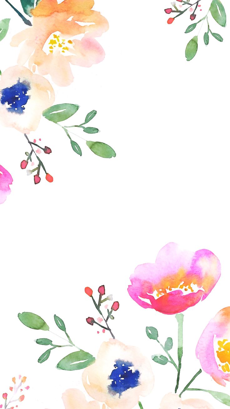 Watercolor Wildflower Iphone Wallpapers