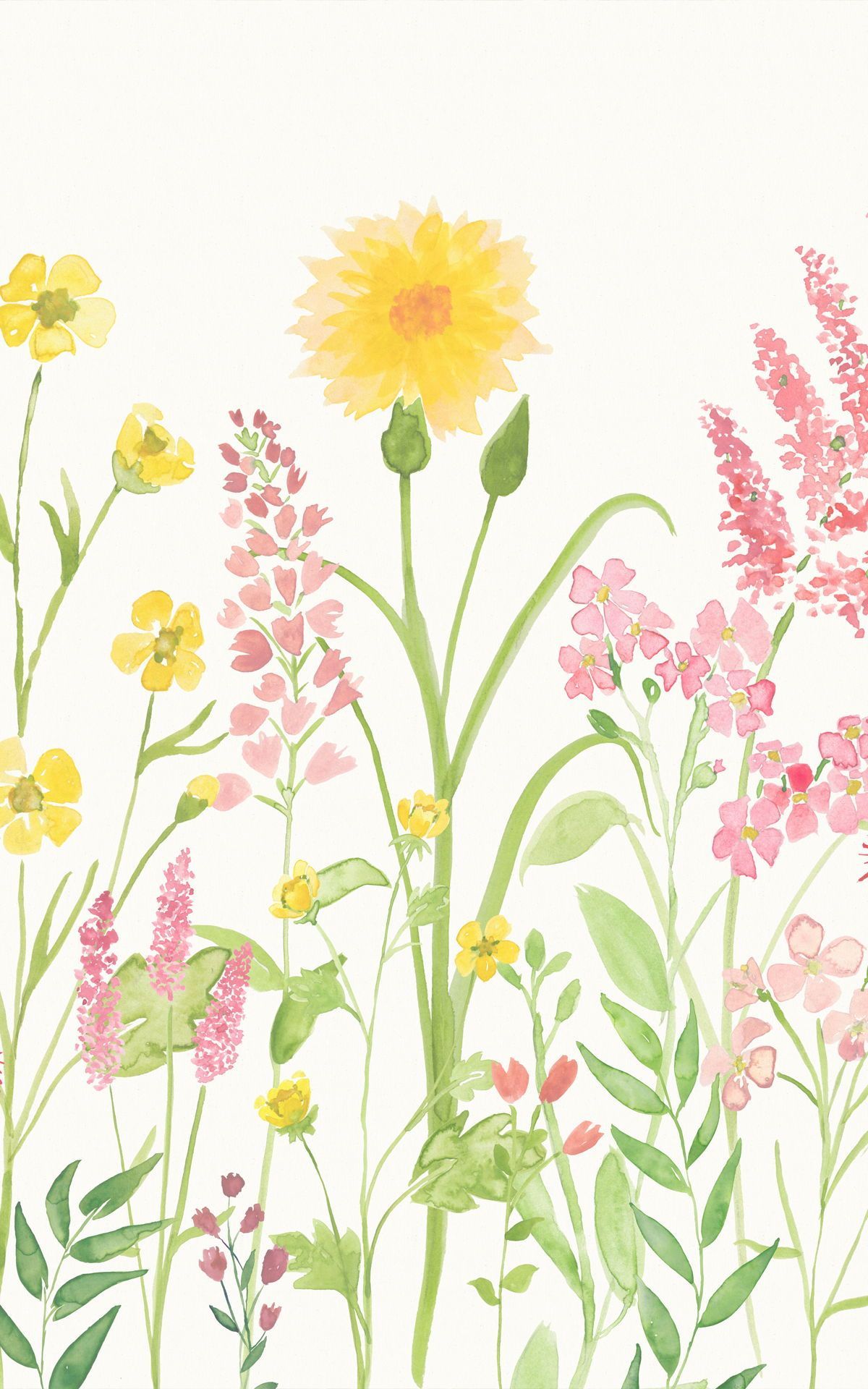 Watercolor Wildflower Iphone Wallpapers