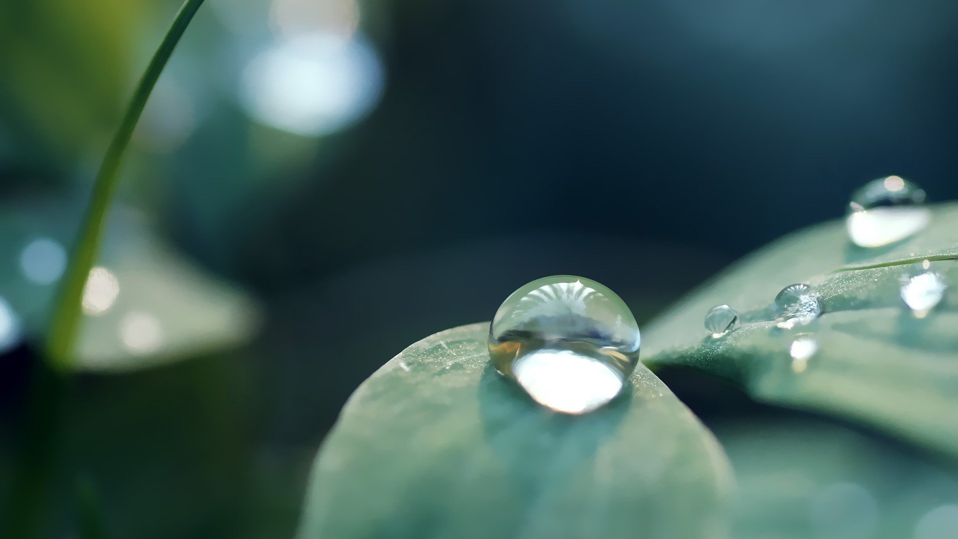 Waterdrop Wallpapers