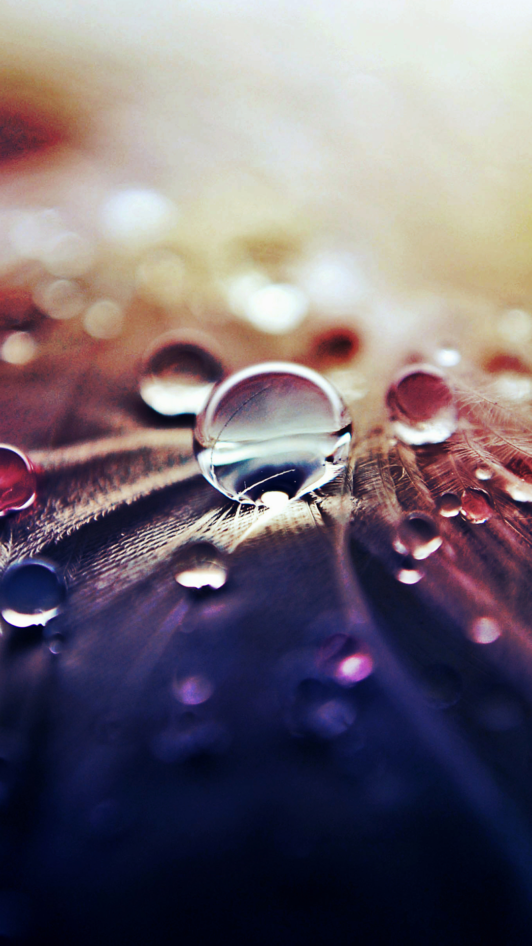 Waterdrop Wallpapers