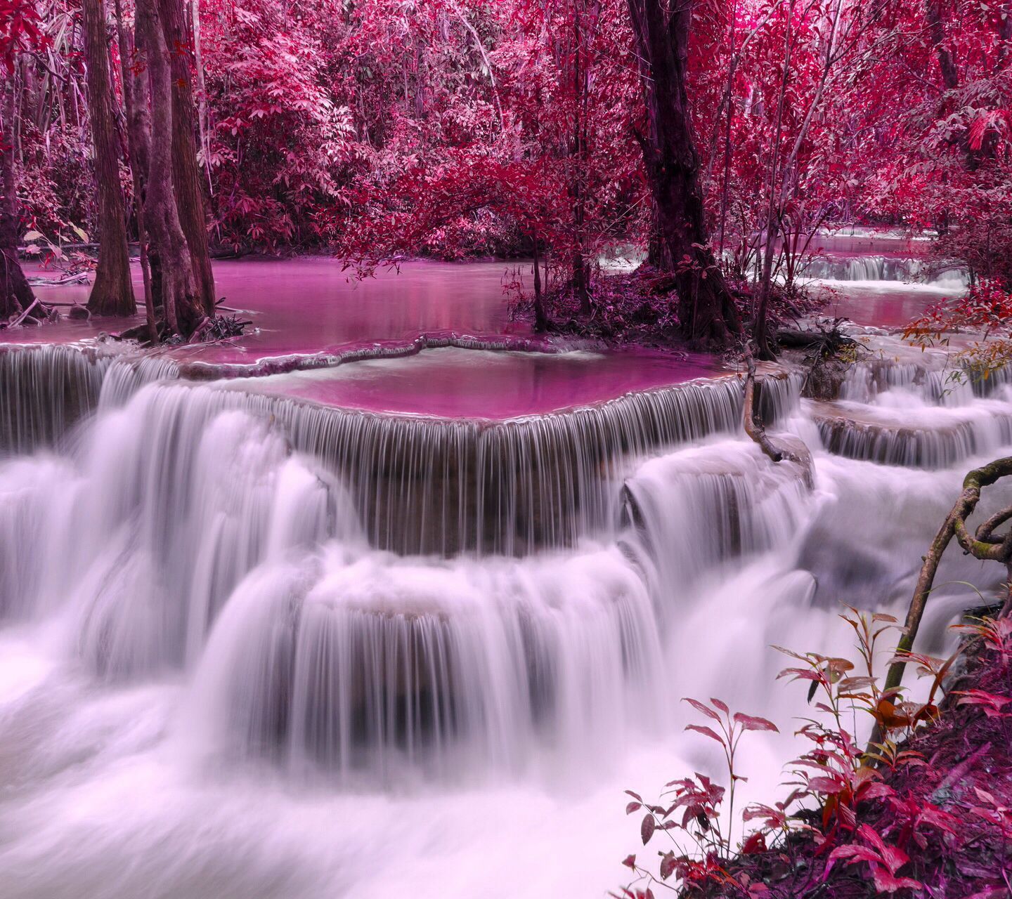 Waterfall And Flowers Wallpapers