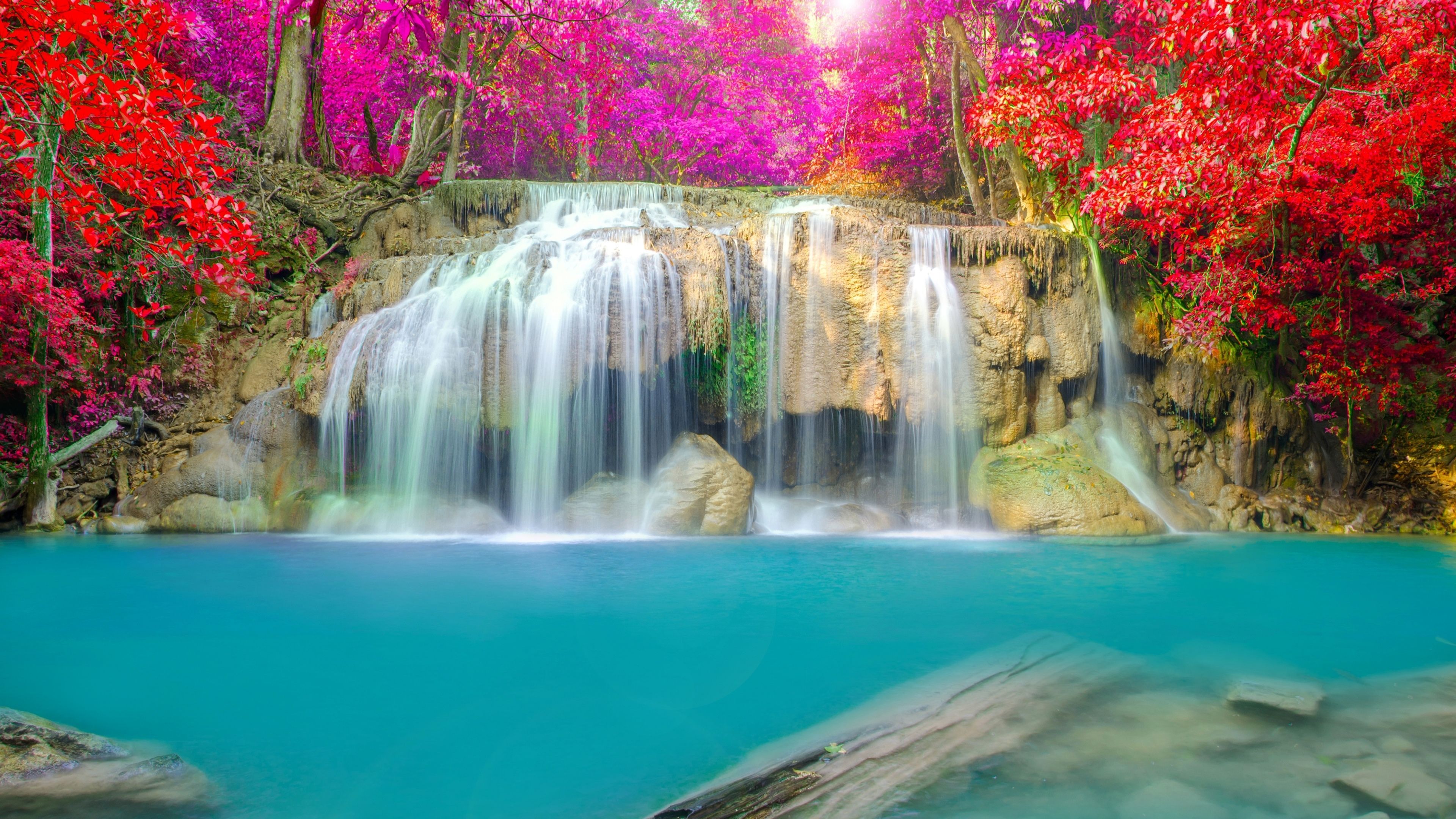 Waterfall And Flowers Wallpapers